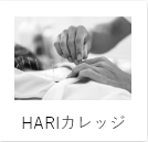 HARIカレッジ　刺鍼勉強会